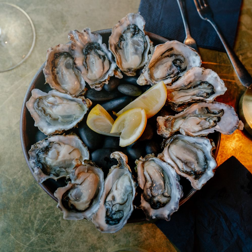 Oysters on the half shell